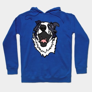 Border Collie Hoodie